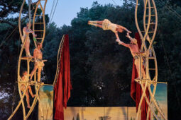 Cie Les P'tits Bras, Spectacle
