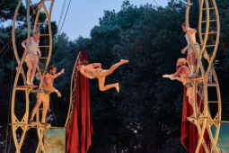 Cie Les P'tits Bras, Spectacle