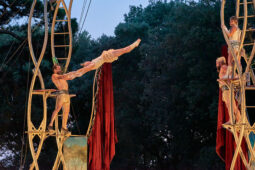Cie Les P'tits Bras, Spectacle