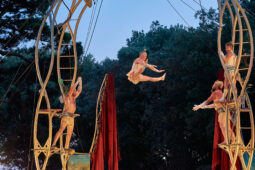 Cie Les P'tits Bras, Spectacle