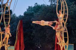 Cie Les P'tits Bras, Spectacle