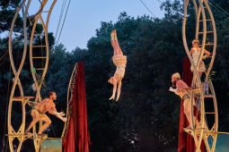 Cie Les P'tits Bras, Spectacle