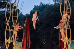 Cie Les P'tits Bras, Spectacle