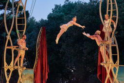 Cie Les P'tits Bras, Spectacle