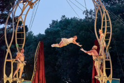 Cie Les P'tits Bras, Spectacle
