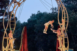 Cie Les P'tits Bras, Spectacle