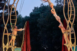 Cie Les P'tits Bras, Spectacle
