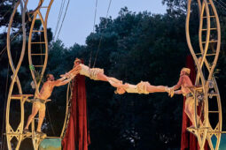 Cie Les P'tits Bras, Spectacle