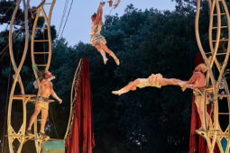 Cie Les P'tits Bras, Spectacle