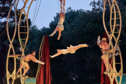 Spectacle, Cie Les P'tits Bras