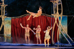 Cie Les P'tits Bras, Spectacle