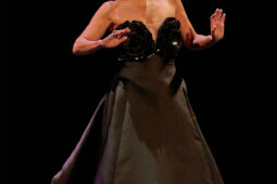 Concert, Festival d'opéra