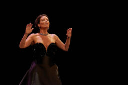 Concert, Festival d'opéra