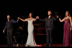 Concert, Festival d'opéra