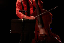 Concert, Maria Dolores y Amapola Quartet