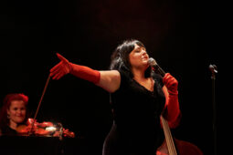 Concert, Maria Dolores y Amapola Quartet