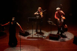 Concert, Maria Dolores y Amapola Quartet