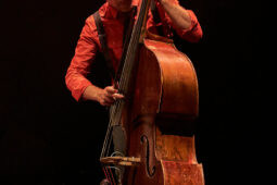 Concert, Maria Dolores y Amapola Quartet
