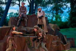 Afag Théâtre, Spectacle