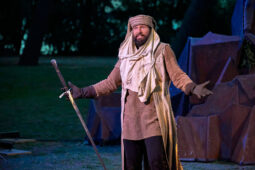 Afag Théâtre, Spectacle