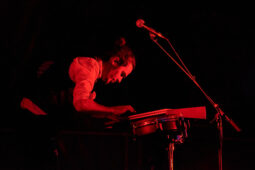 Barry Moore, Concert