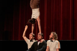 Collectif Pourquoi pas, Spectacle