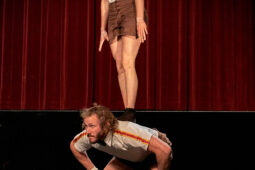 Collectif Pourquoi pas, Spectacle