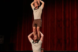 Collectif Pourquoi pas, Spectacle