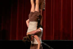 Collectif Pourquoi pas, Spectacle