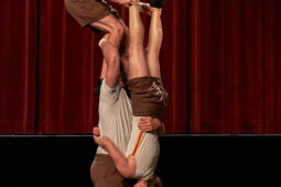 Collectif Pourquoi pas, Spectacle