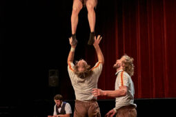Collectif Pourquoi pas, Spectacle