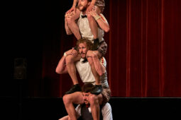Collectif Pourquoi pas, Spectacle