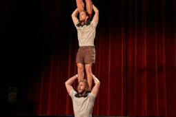 Collectif Pourquoi pas, Spectacle