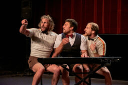 Collectif Pourquoi pas, Spectacle