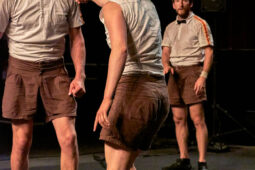 Collectif Pourquoi pas, Spectacle