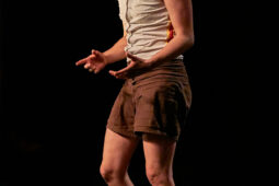 Collectif Pourquoi pas, Spectacle