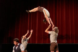 Collectif Pourquoi pas, Spectacle