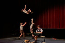 Collectif Pourquoi pas, Spectacle