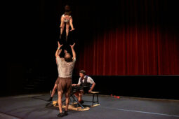 Collectif Pourquoi pas, Spectacle