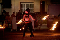Dharma, Spectacle