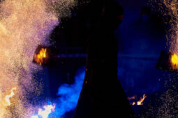 Dharma, Spectacle