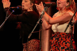Concert, San Salvador