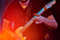 Concert, Tropical Night