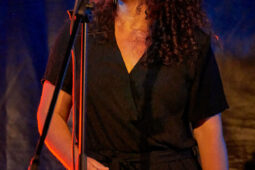 Concert, Tropical Night