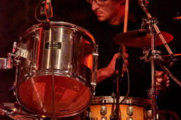 Concert, Tropical Night