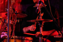 Concert, Tropical Night