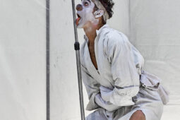Spectacle, Typhus Bronx