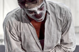 Spectacle, Typhus Bronx