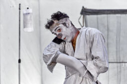 Spectacle, Typhus Bronx