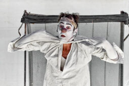 Spectacle, Typhus Bronx